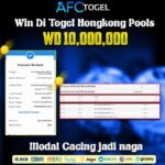 Jackpot Togel Hongkong 23-Sep-2023 Member Afctogel